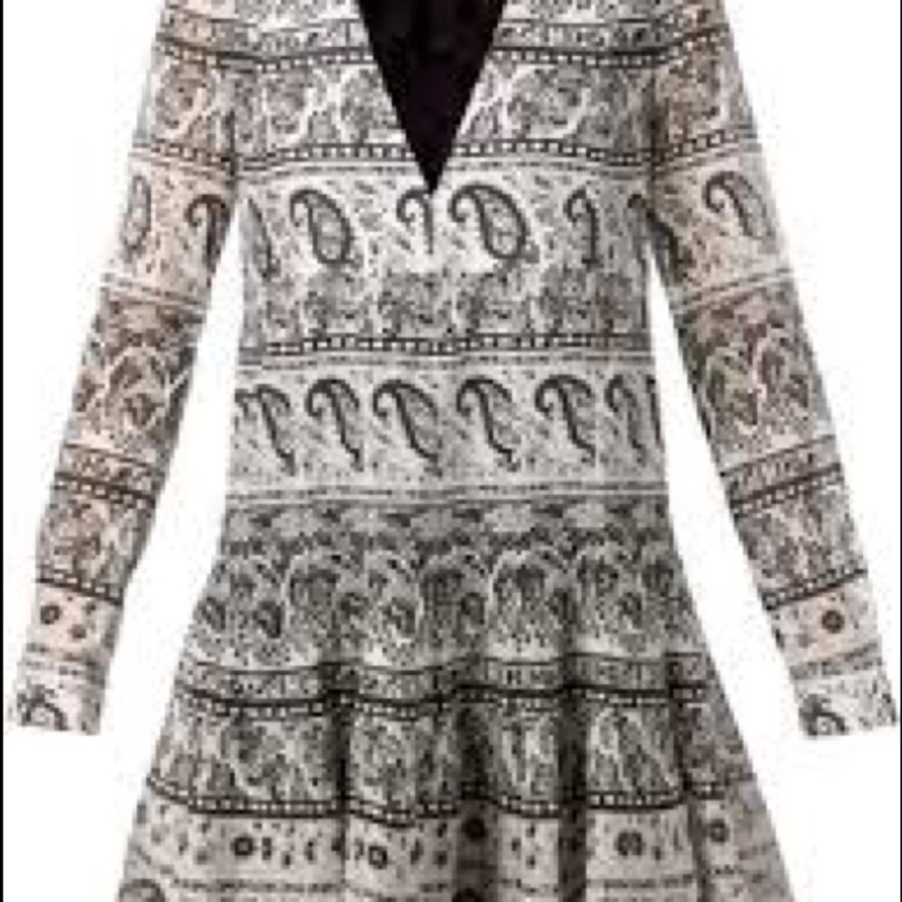 Thakoon Addition dress size 4